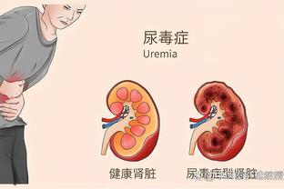 开云入口首页官网网址截图2